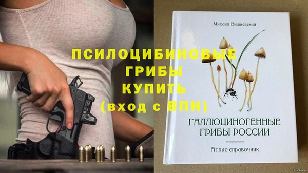 тгк Бронницы