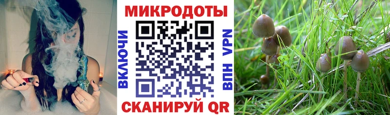 Псилоцибиновые грибы MAGIC MUSHROOMS  Томари 